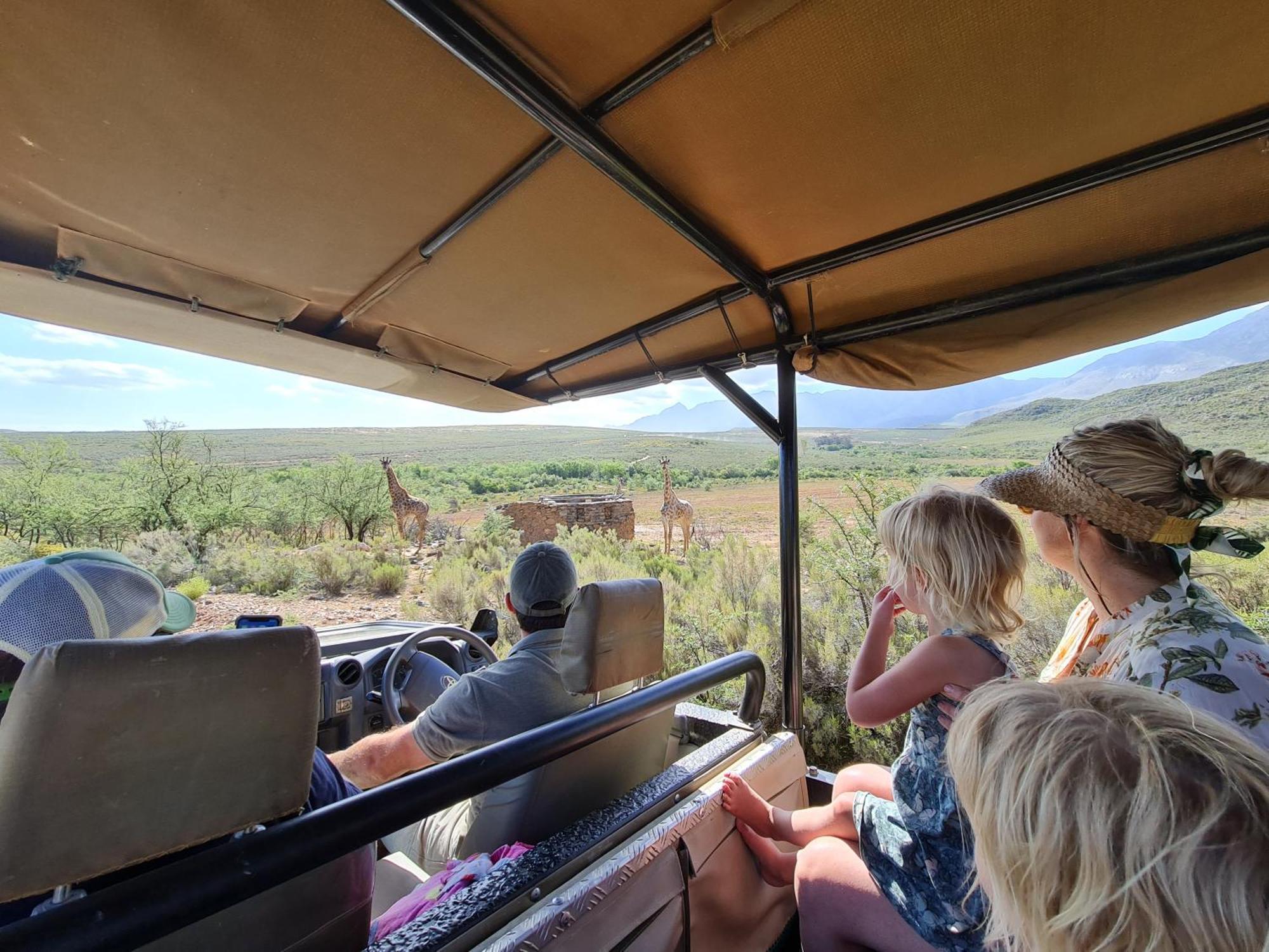 Wildehondekloof Game Lodge Matjiesrivier  Exteriör bild