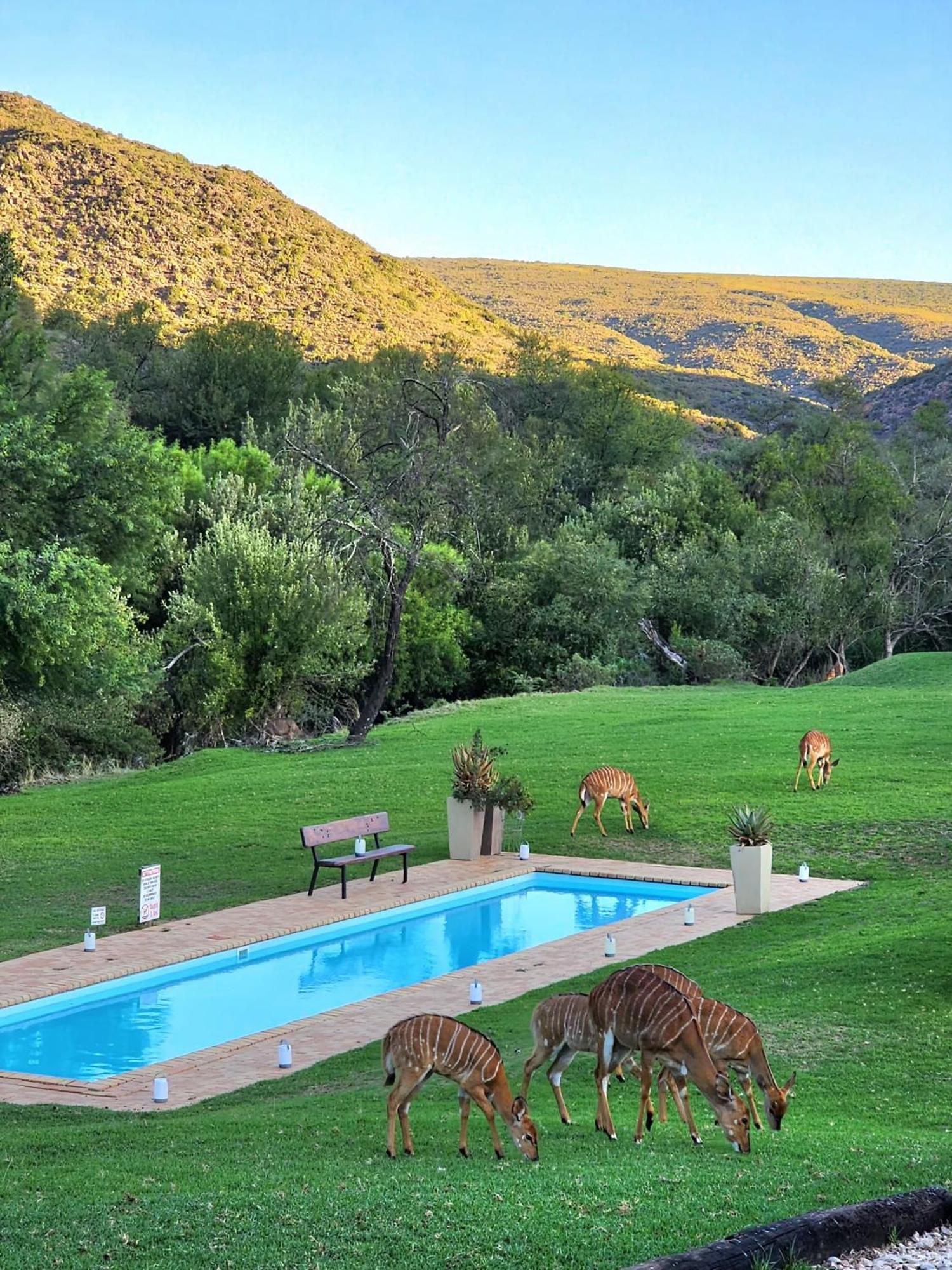 Wildehondekloof Game Lodge Matjiesrivier  Exteriör bild